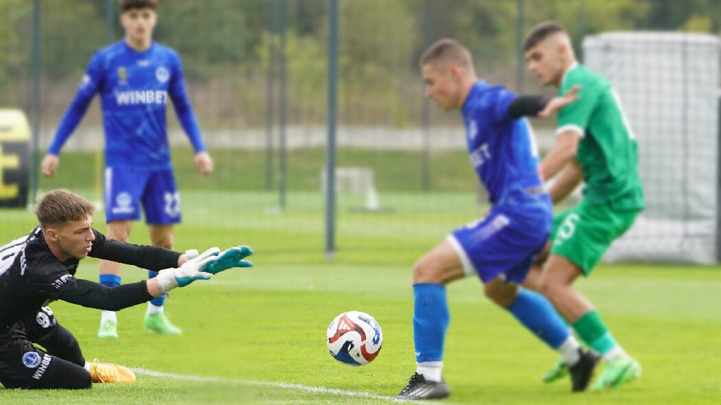 Nikola Nikolov reacting quickly to make a low save during match play